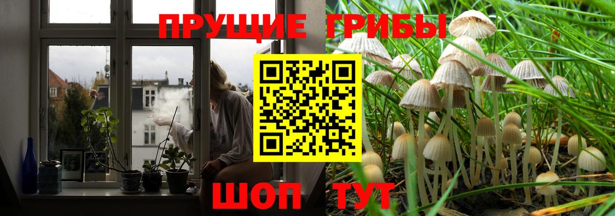 Нарткала  Галлюциногенные грибы GOLDEN TEACHER  Вход с VPN 